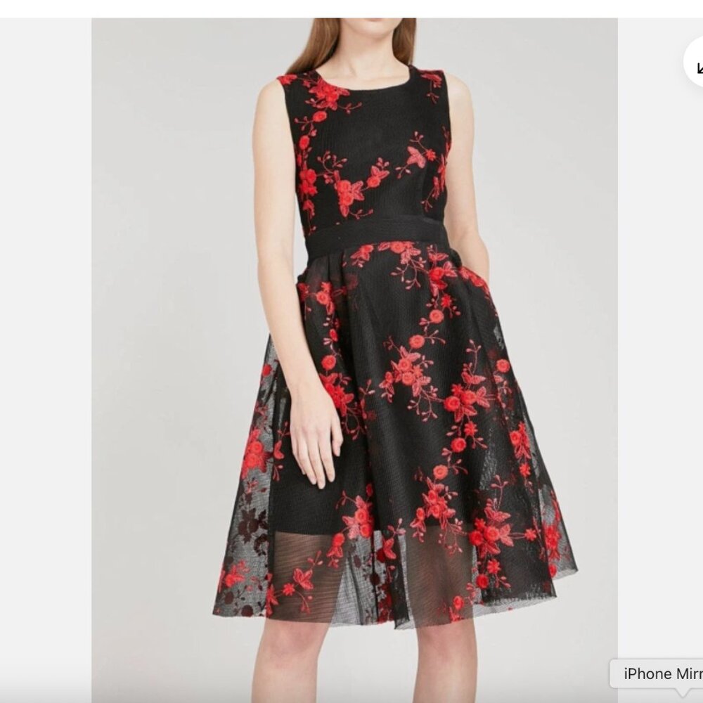 Maje Rudio Embroidered Tulle Floral Mesh Fit & Flare illusion Cocktail Dress NWT